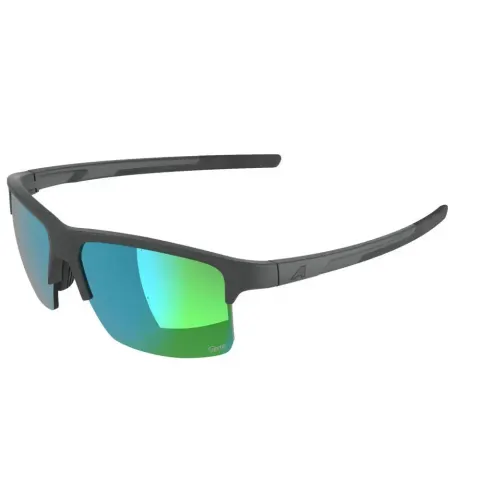 Lunettes de soleil Alpina Eagle Q-lite – Gris – image 2