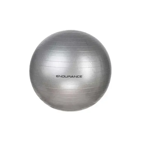 Gym ball Endurance – Argenté – image 2