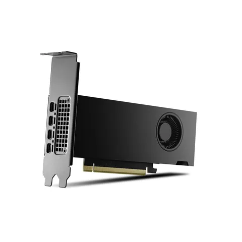PNY RTX2000 Ada NVIDIA RTX 2000 Ada 16 GB GDDR6 – image 2