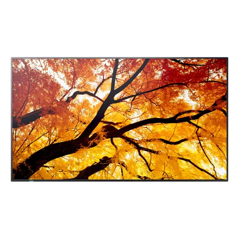 Sharp MultiSync PN-M982 Interactive flat panel 2.48 m (97.5") LED – image 2