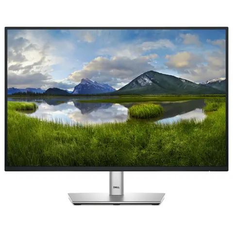 DELL Pro Plus P2425 computer monitor – Bild 4