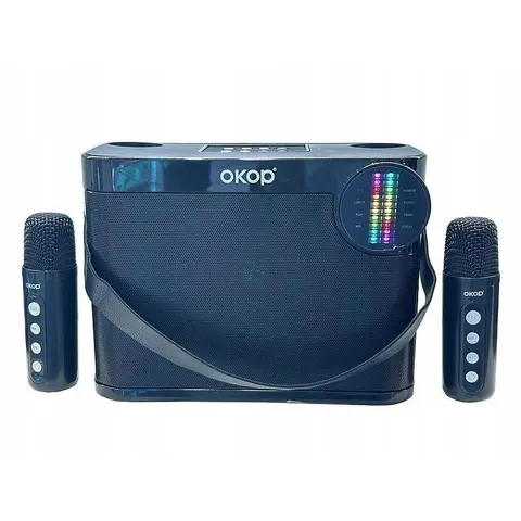 Głośnik Karaoke Z 2 Mikrofonami Kabel Usb – zdjęcie 3