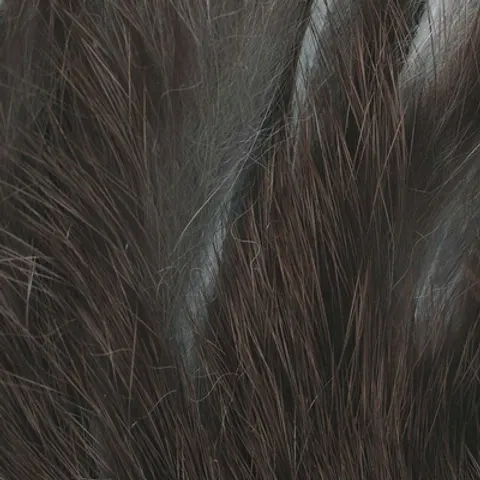 Wapsi Rabbit Zonkers Charcoal Gray – zdjęcie 2