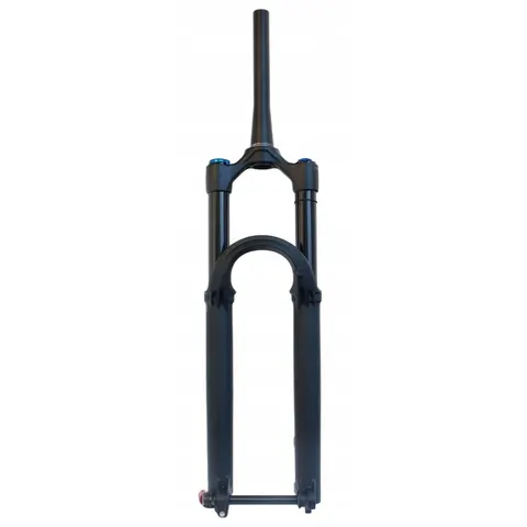 Fox 36 Float Performance 29" 160 mm E-optimized Tapered Boost – zdjęcie 2