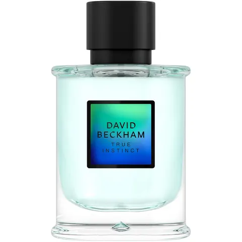 David Beckham True Instinct True Instinct Eau de Parfum For Men 75 ml – Bild 2