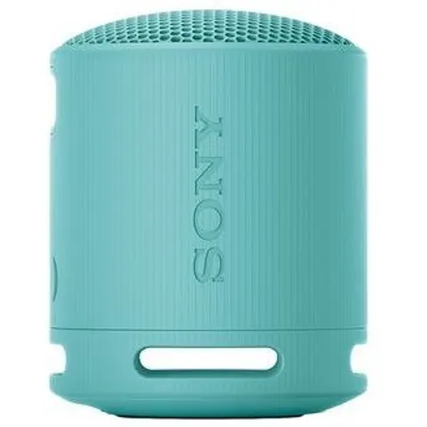 Sony SRS-XB100 Portable Speaker - Blue – image 2