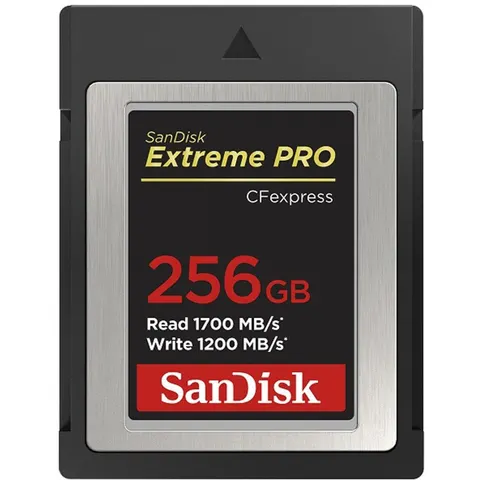 SanDisk SDCFE-256G-GN4NN memory card – Bild 2