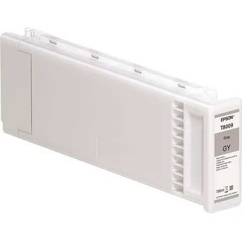 EPSON 1LB Singlepack Gray T800900 – Bild 2