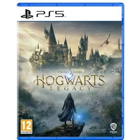 Hogwarts Legacy: Standard Edition (PS5) – image 2
