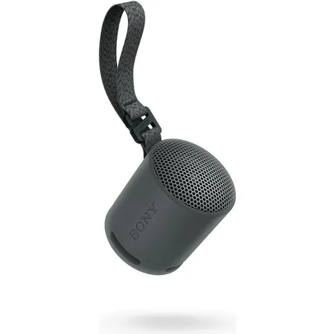 Sony SRS-XB100 Portable Speaker - Black – image 3