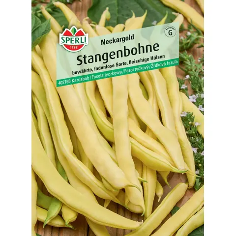 Sperli Stangenbohne Neckargold – Bild 2