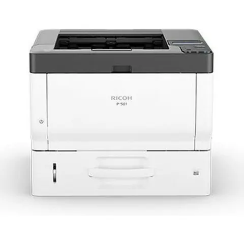 Ricoh P 501 – Bild 2