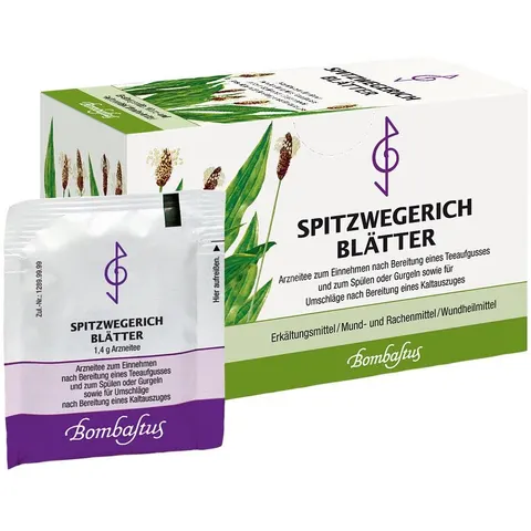 Spitzwegerichblätter Bombastus – Bild 2