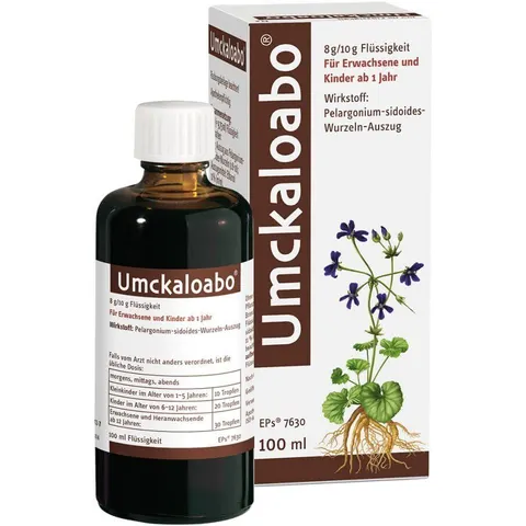Umckaloabo – 00930673 – Bild 2