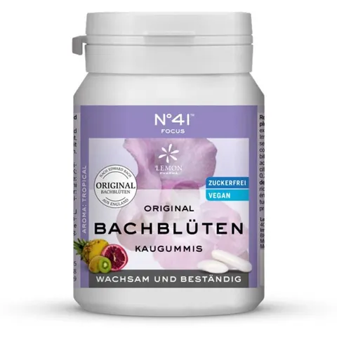 Konzentration Kaugummi nach Doktor Bach – Bild 2
