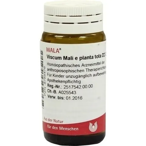 Wala Viscum Mali e planta tota D2 Globuli – Bild 2