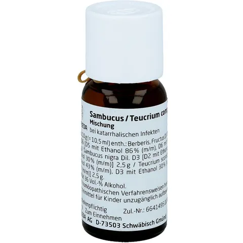 Sambucus / Teucrium compositus Dilution – Bild 3