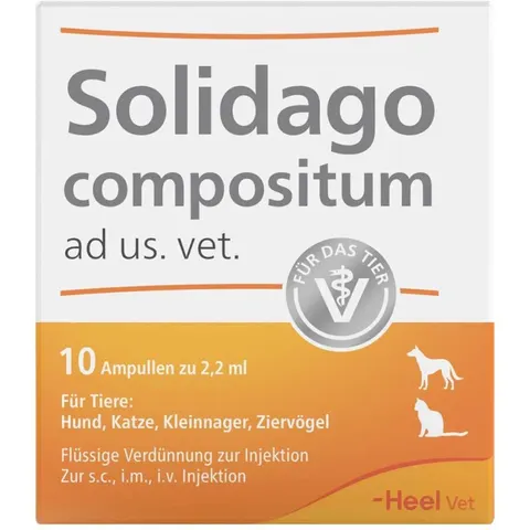 Solidago compositum ad us. vet. 10 St Ampullen – Bild 2