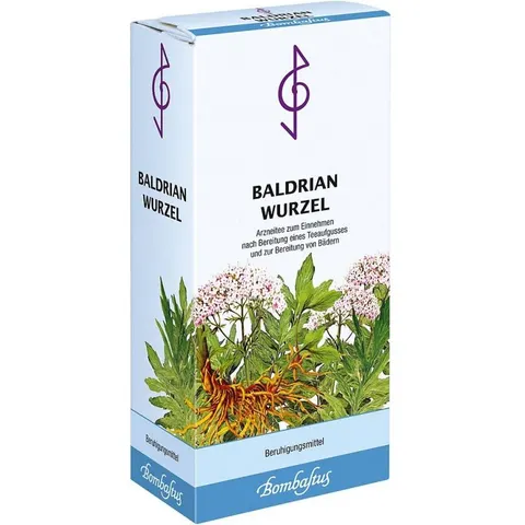 Baldrianwurzel Bombastus – Bild 2