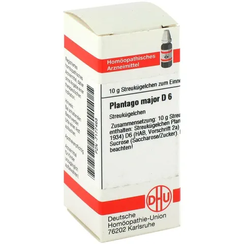 DHU Plantago Major D6 Globuli – Bild 2