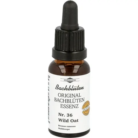 Bachblüten Murnauer Tropfen Wild Oat – Bild 2