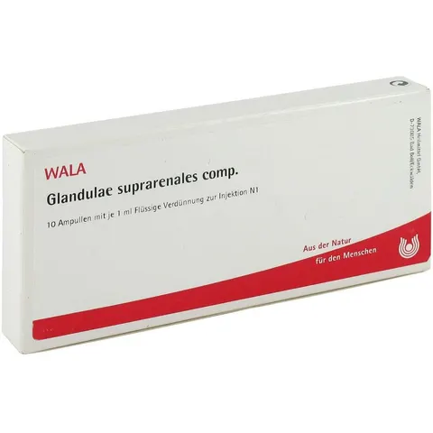 Wala Glandulae Supraren. Comp. Ampullen – Bild 2