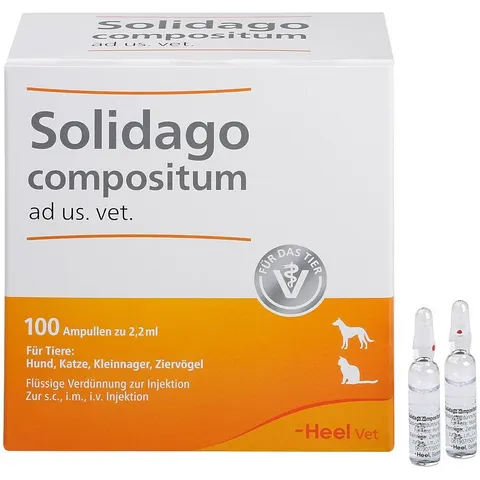 Solidago Compositum Ampullen ad usus veterinär – Bild 2