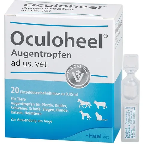 Oculoheel Augentropfen ad us. vet – Bild 3