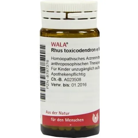 Wala Rhus Tox. E Fol. D6 Globuli – Bild 2