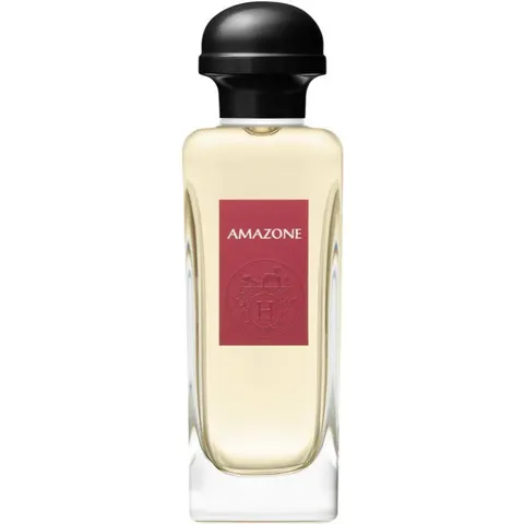 HERMÈS Amazone EDT W 100 ml – image 2