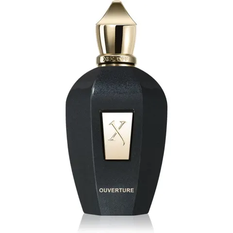 Xerjoff Ouverture EDP U 100 ml – image 2