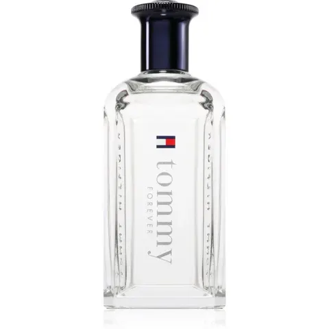 Tommy Hilfiger Tommy Forever EDT M 100 ml – image 3