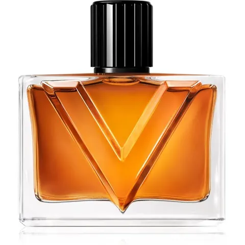Valentino Vendetta Uomo EDP M 90 ml – image 3