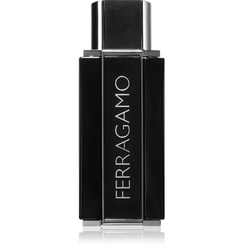 Ferragamo Sublime Leather EDP M 100 ml – image 2