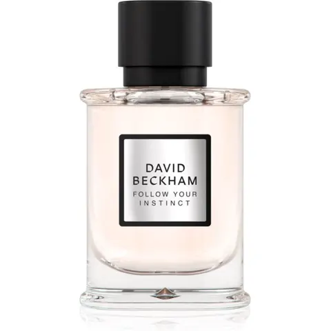 David Beckham Follow Your Instinct EDP M 50 ml – image 2