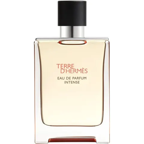 Hermès Terre D' Eau de Parfum Intense 100mL – image 2