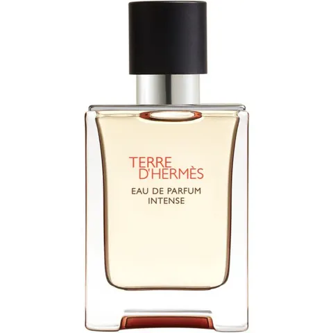 Hermès Terre D' Eau de Parfum Intense 50mL – image 2