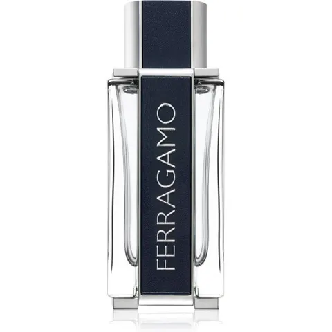 Ferragamo EDT M 100 ml – image 2