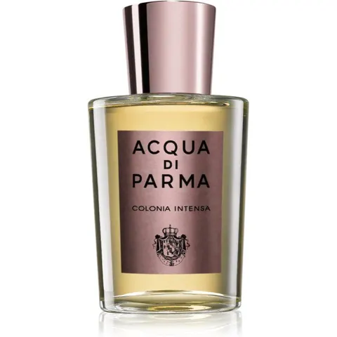 Acqua Di Parma Intensa 100ml EDC Spray – image 2