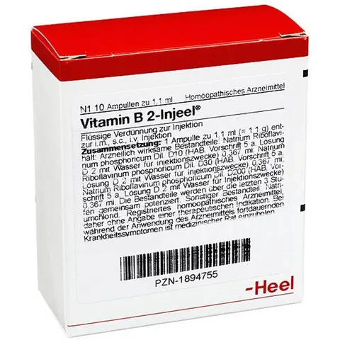 Vitamin B2 Injeel Ampullen – Bild 2