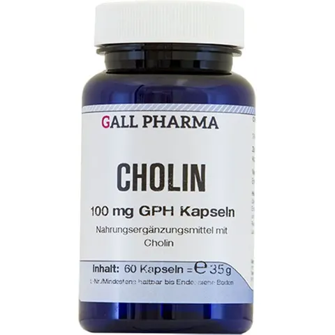 Cholin 100 mg Gph Kapseln – 03378360 – Bild 2