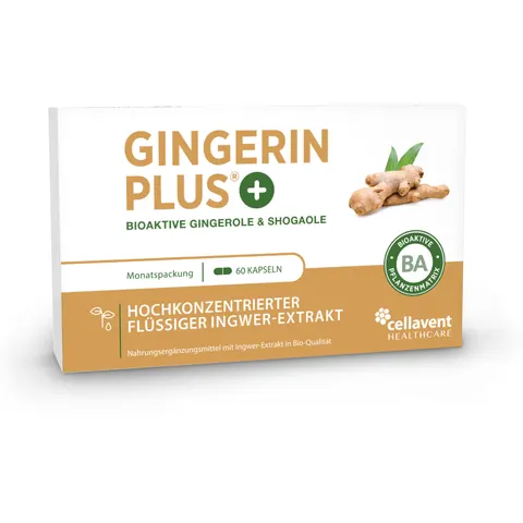 Gingerin Plus Kapseln – Bild 2