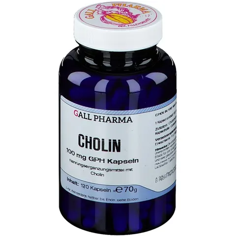 GALL PHARMA Cholin 100 mg GPH Kapseln 120 St – Bild 2