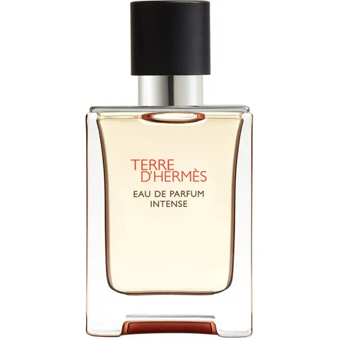 50ml HERMÈS Terre d’Hermès Eau de Parfum Intense Refillable – Bild 2