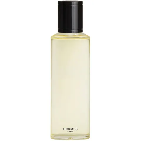 200ml HERMÈS Terre d’Hermès Eau Givrée Eau de Parfum Refill – Bild 2