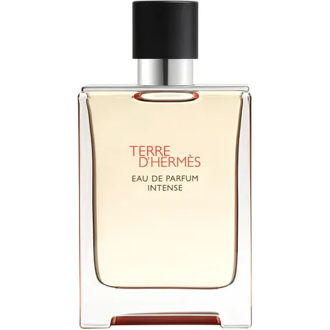 100ml HERMÈS Terre d’Hermès Eau de Parfum Intense Refillable – Bild 2