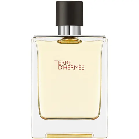 100ml HERMÈS Terre d’Hermès Eau de Toilette – Bild 2