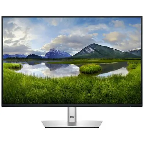 DELL Pro Plus P2425 computer monitor – Bild 2