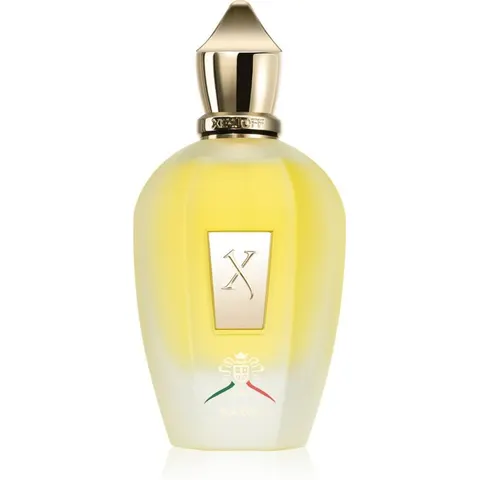 XERJOFF Naxos Eau de Parfum 100 ml – Bild 2