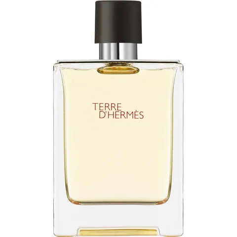 100ml HERMÈS Terre d’Hermès Eau de Toilette – Bild 2